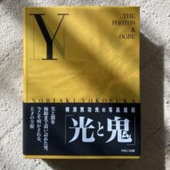 光と鬼 : 横須賀功光の写真魔術のサムネイル