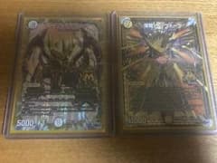 サッヴァーク  サッヴァークDGのサムネイル