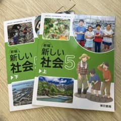 m98203083387_1.jpg?1754726141