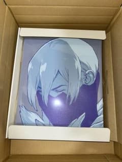 Dr.STONE キャンバスボード 氷月 | Mercari
