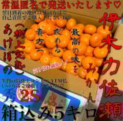 最高の味を˚求める˚✧貴方へ˚✧伊木力佐瀬みかん♡あけぼの♡樹上完熟