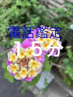 電話占い　透視霊視　チャネリング オラクルカード　ダウジングにて鑑定 - 3