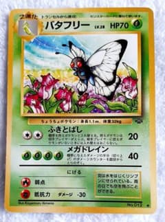 m98216488593_1.jpg?1634878452