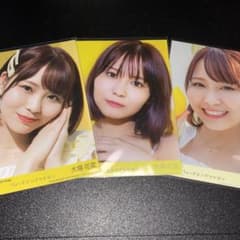 m98218508593_1.jpg?1701288146