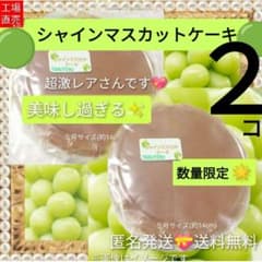❤工場直売❤ ✅シャインマスカットケーキ ５号２個 アウトレット 数量限定のサムネイル