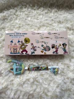 ディズニーストア 渋谷 30周年 コレクタブルキー ドナルドのサムネイル