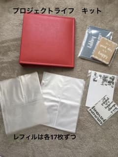 プロジェクトライフ　アルバムカードキットのサムネイル