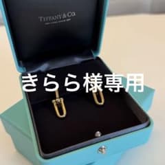 ティファニー　ハードウェア　ミディアムリンクピアスのサムネイル