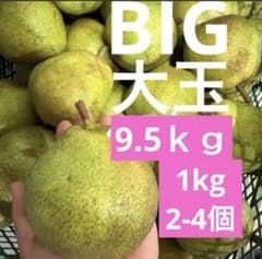山形県産加工用ラフランス9.5キロ(箱資材込　硬いラフランス　大玉②のサムネイル