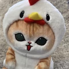 m98242467445_1.jpg?1735695966