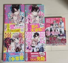 総長さま、溺愛中につき。 全巻のサムネイル
