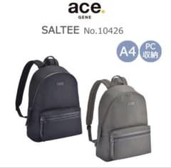 ace ビジネスバッグ サルティーのサムネイル