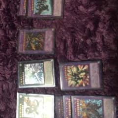 遊戯王レッドアイズデッキのサムネイル