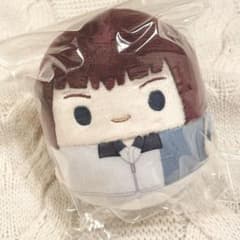 新テニスの王子様 向日岳人 ふわコロりん ぬいぐるみ 氷帝 - メルカリ