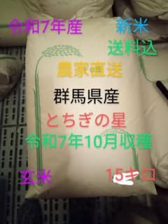 R7年産 新米 群馬県産 とちぎの星 15キロ 玄米 送料込 15kg ③ - メルカリ