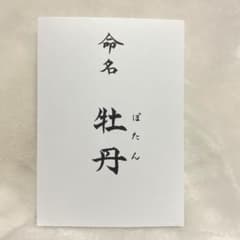 命名書のサムネイル