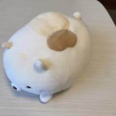 스미코구라시 네코 봉제인형