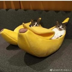 ●GATSBYさま専用●のサムネイル