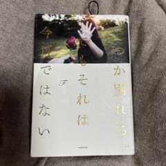 いつか別れる、それは今日ではないのサムネイル