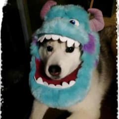 はるゆづさま専用のサムネイル