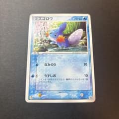 ミズゴロウ 019/ADV-P ポケモンカード プロモ - メルカリ