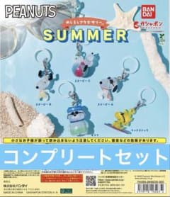 홉*】様 PEANUTS めじるしアクセサリー SUMMER コンプリートセットのサムネイル