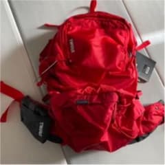 専用です！！  THULE リュックのサムネイル