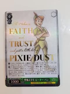Disney 100 SPのサムネイル