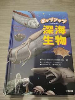 ポップアップ深海生物 - メルカリ