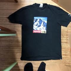 シュプリーム  とノースフェイスのコラボTシャツのサムネイル