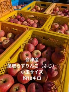 会津産　葉取らずりんご　小玉サイズ約10キロのサムネイル