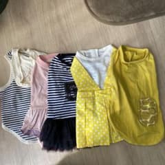 犬服 14点　サイズDM3 首飾り16個セットのサムネイル