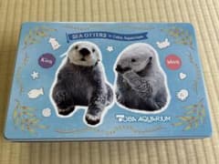 新品未開封 鳥羽水族館 ラッコ キラ メイ お菓子缶 パイ