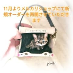 豆猫アーティストPECO-LIN の出品した商品 - メルカリ
