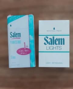 Salem ダミー模型 サンプル模型 2点セットのサムネイル