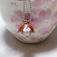 チャンママさま♡専用のサムネイル