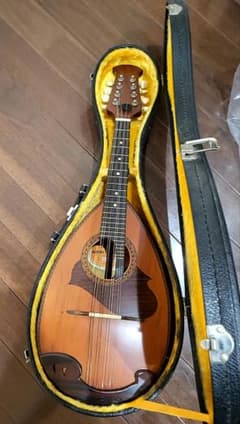 Mandolins :: Mercari｜DEJAPAN - Simple & Easy Japanese Proxy