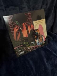 NF Zessho Bad Vibes Only LP レコード 未開封アナログ - メルカリ