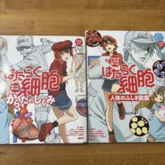 値下げ！はたらく細胞 からだのしくみ　人体のふしぎ図鑑のサムネイル