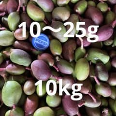 摘果ま10〜25g 10kgのサムネイル