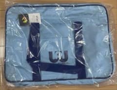 y*u様 ワッペ　ワールドペガサス　水色　旧ワッペ　jk スクバ　マルミ運動具 ワッペ ワールドペガサス 水色 旧ワッペ jk スクバ マルミ運動具