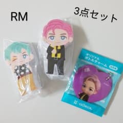 [미사용] TinyTAN RM 3점