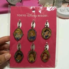 ディズニー プリンセス ファスナーアクセサリーのサムネイル