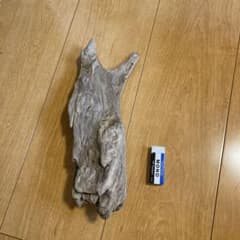 水槽用流木 約15cm