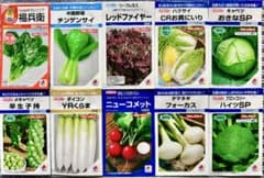 野菜の種【タキイ】秋冬☆お得な10種類セット《値下げ中》のサムネイル