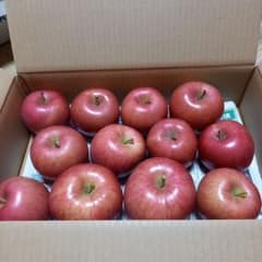 青森県産りんご　早生ふじのサムネイル