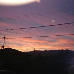 mihiaさん専用★のサムネイル