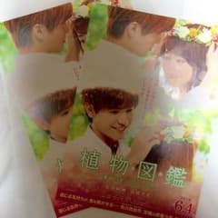 植物図鑑 / 岩田剛典 高畑充希のサムネイル