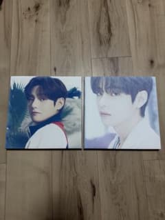 BTS V テテ フォトキャンバスのサムネイル