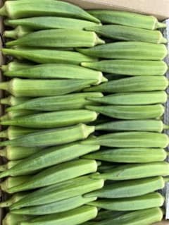 朝どれ新鮮オクラ　約一キロ　夏バテ予防にのサムネイル